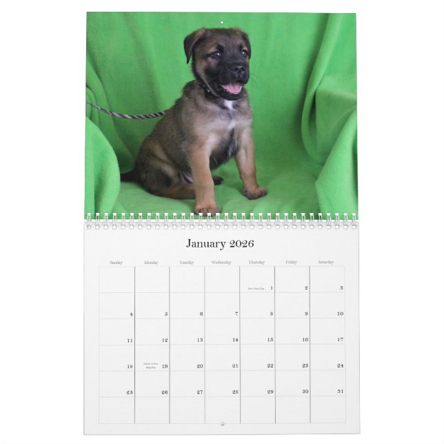 Säker kalender för händerrädding 2015 (Jan 2026)