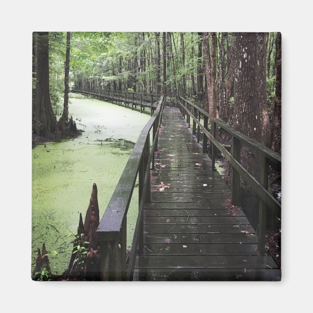 säker kustreserv magnet (Framsidan)