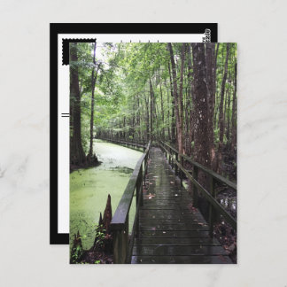 säker kustreserv vykort