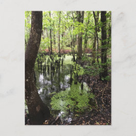 säker kustreserv vykort