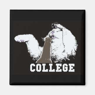 saker på min katt - magnet