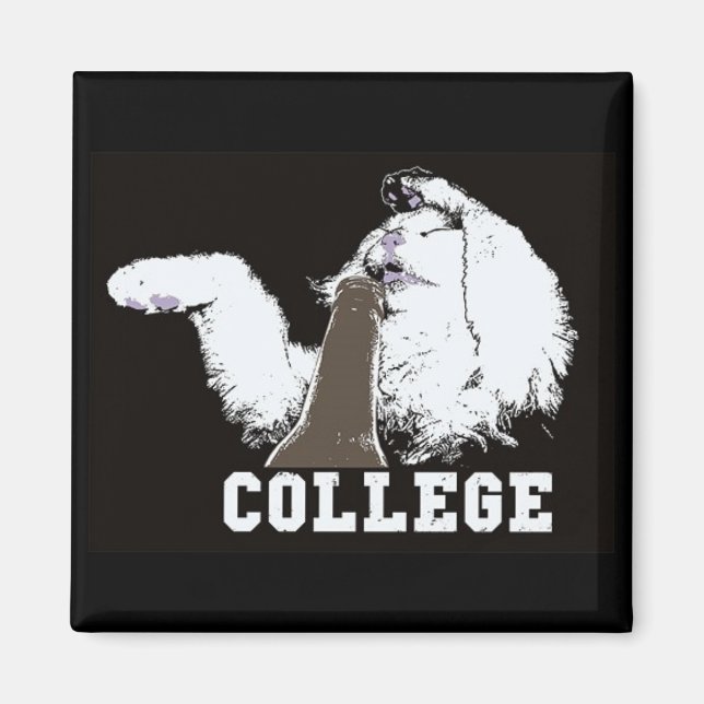 saker på min katt - magnet (Framsidan)