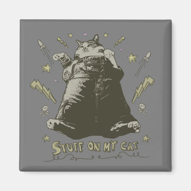 Saker på min katt - Tjock Cat Magnet (Framsidan)