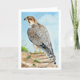 Saker Peregrine Falcon Birthday Card Kort