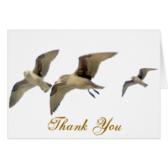 Säker resning_ hälsningskort (Framsidan Horizontal)