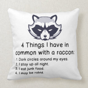 SAKER SOM JAG HAR I ALLMÄNNING MED EN RACCOON KUDDE