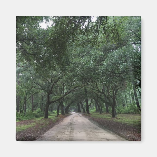 säker väg magnet (Framsidan)