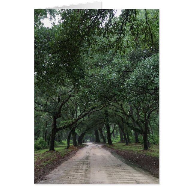 säker väg OBS kort (Framsidan)