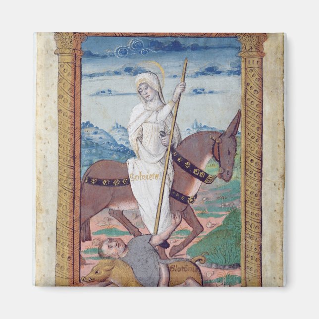 Säkerhet mot luttoni magnet (Framsidan)