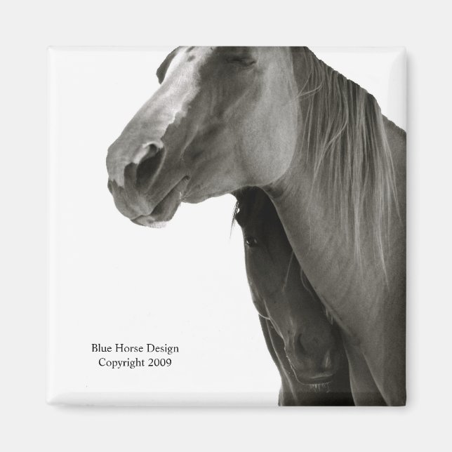 Säkerhet och bekvämlighet magnet (Framsidan)