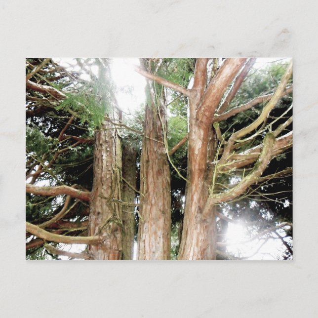 säkerhetshittad vykort (Framsida)