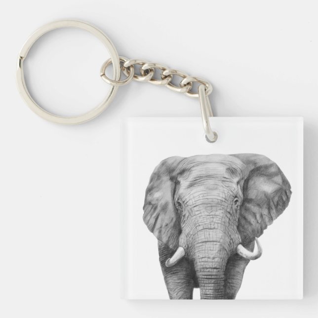 Säkerhetskopiera plan IV (Framsidan)