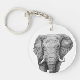 Säkerhetskopiera plan IV