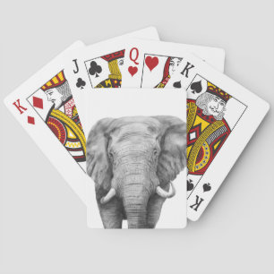 Säkerhetskopiera plan IV Casinokort