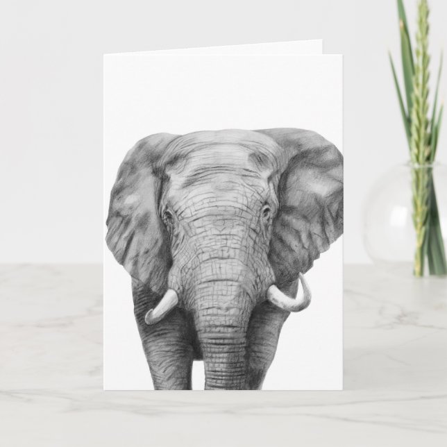 Säkerhetskopiera plan IV Kort (Framsida)