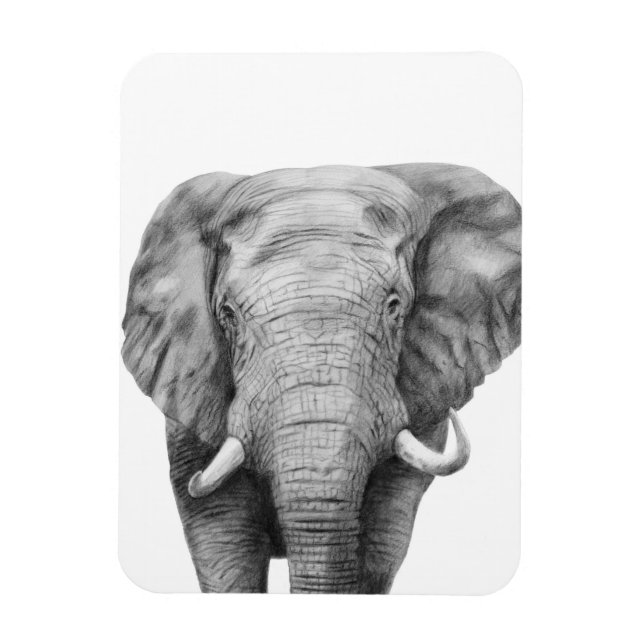 Säkerhetskopiera plan IV Magnet (Vertikal)