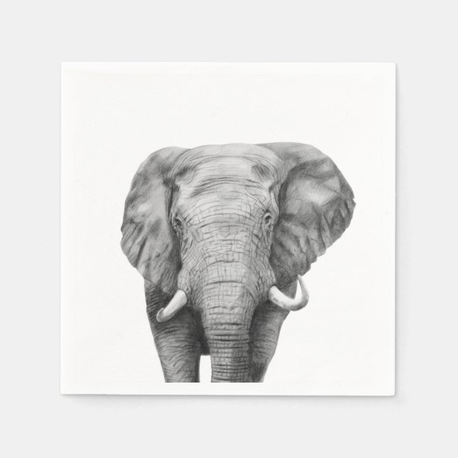 Säkerhetskopiera plan IV Pappersservett (Framsidan)