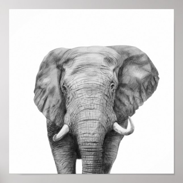 Säkerhetskopiera plan IV Poster (Framsidan)