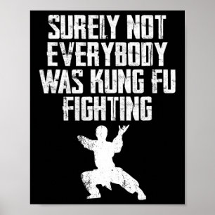 Säkert Inte Alla Var Kung Fu Fighting Karate 2 Poster