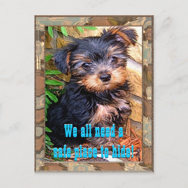 Säkert vykort Ställe (Framsida)