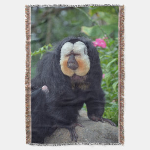 Saki Monkey Filt