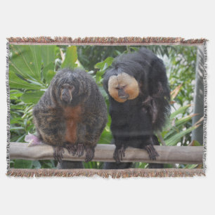 Saki Monkey Filt
