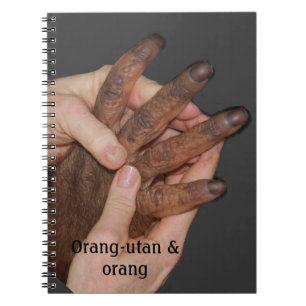 Sakkunniga räcker orangutanen anteckningsbok