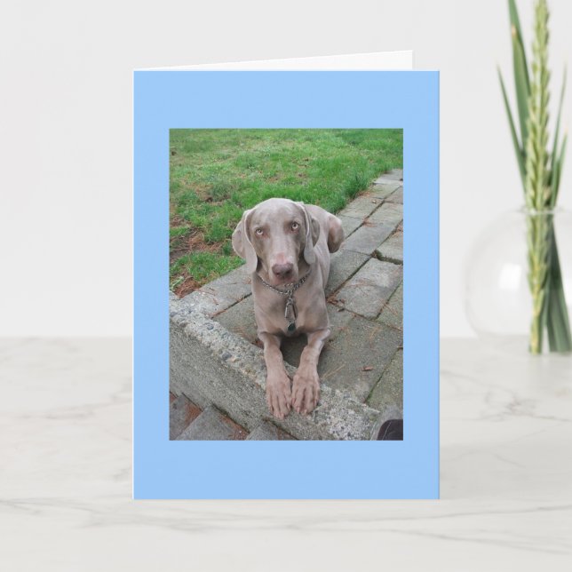 sakna ditt kort (Framsida)