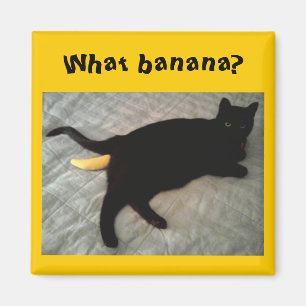 Saknad banankattleksak magnet