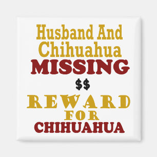 Saknad belöning för Chihuahua & för make för Magnet