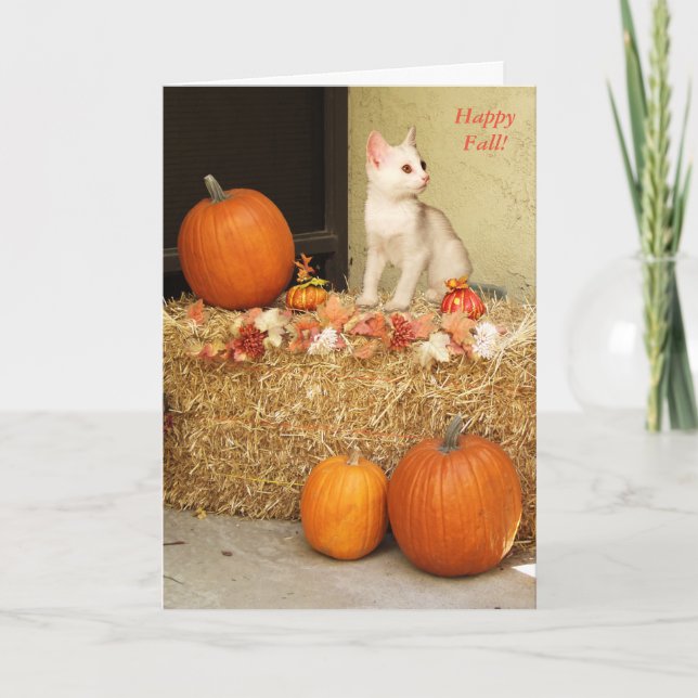 Saknad dig Halloween kattunge & pumpakort Kort (Framsida)