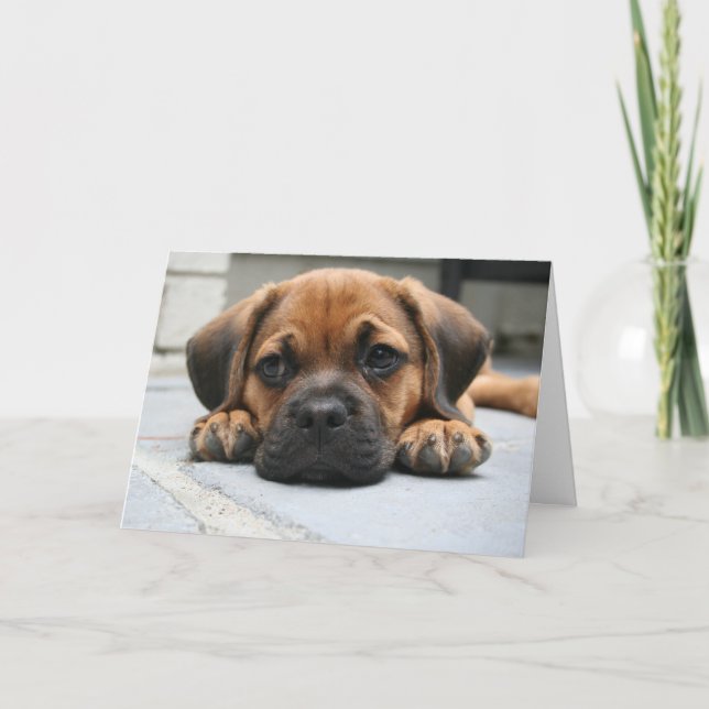 Saknad dig kort (Framsida)