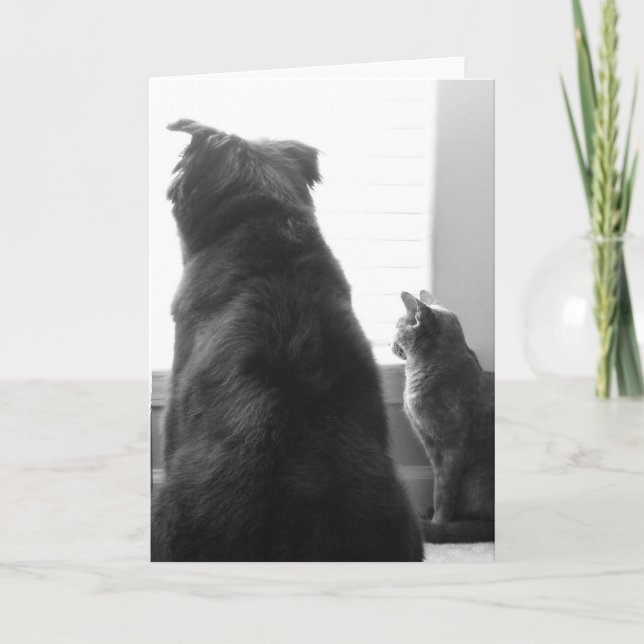 Saknad dig kort (Framsida)