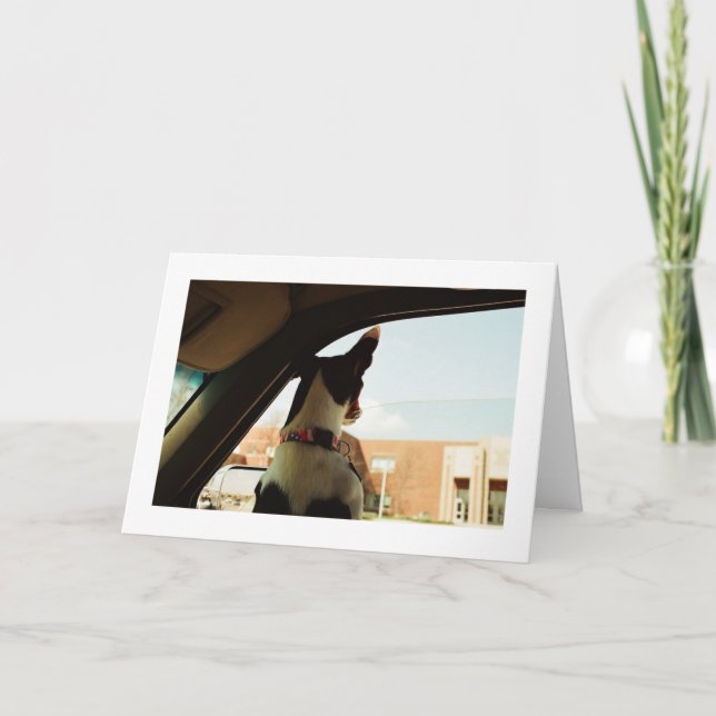 SAKNAD DIG KORT (Framsida)