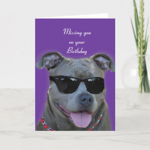 Saknad dig på din födelsedagblåttpitbull kort
