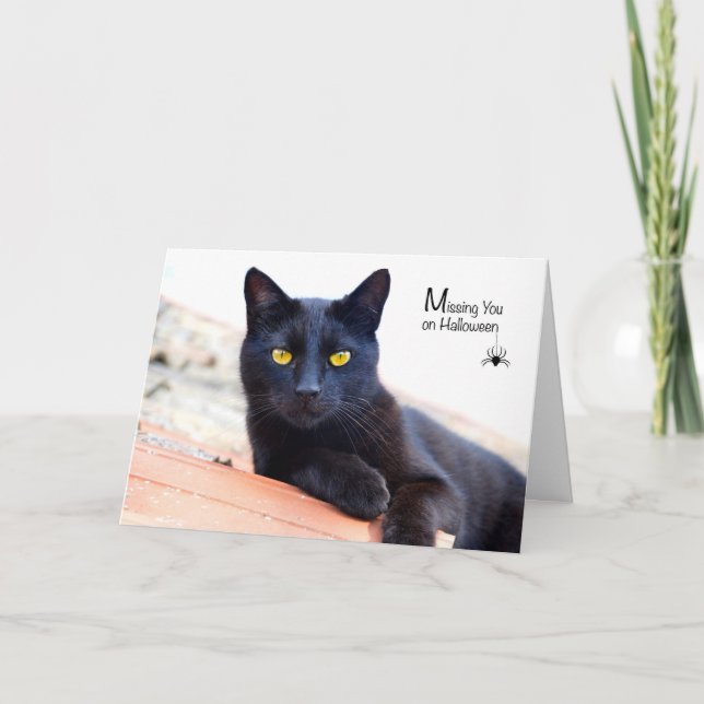 Saknad dig på Halloween, svart katt med spindeln Kort (Framsida)