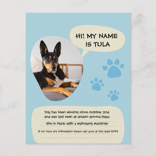 Saknad hund Modern blå fotoaffisch  Flygblad (Framsidan)