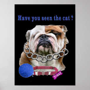 saknad katt poster