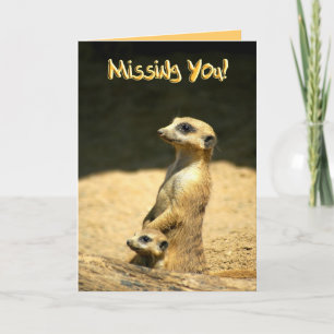 Saknad som du Card Kort