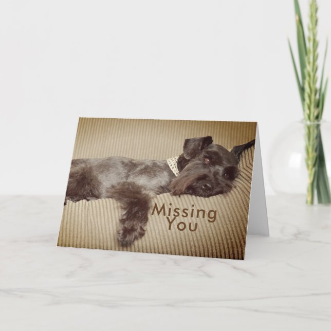Saknaden svärtar du miniatyrschnauzeren kort (Framsida)