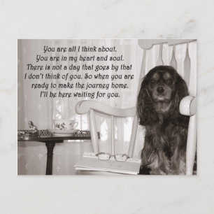 Saknar dig: Ett Cavalier King Charles Spaniel-kort Vykort
