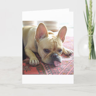 SAKNAR DIG! FRANSK BULLDOG CARD KORT