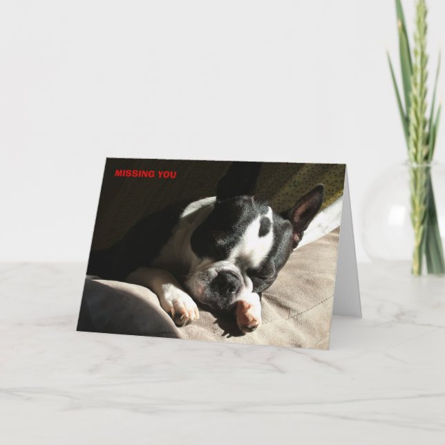 SAKNAR DIG KORT (Framsida)