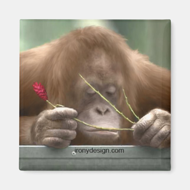 Saknar dig magnet (Framsidan)