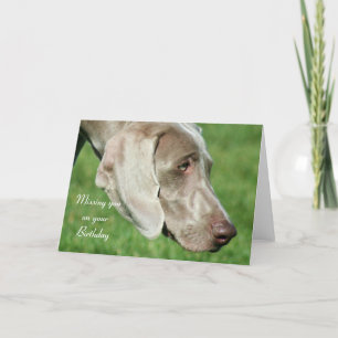 Saknar dig på ditt födelsedagskort Weimaraner Card Kort