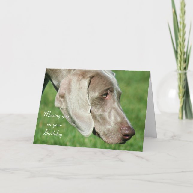 Saknar dig på ditt födelsedagskort Weimaraner Card Kort (Framsida)