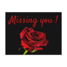 Saknar dig romantisk röd ros foto