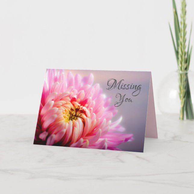 Saknar Dig Rosa Krysantemum Makrofoto Kort (Framsida)