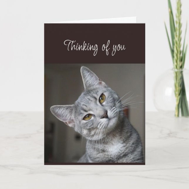 Saknar Dig Tänker på Dig Nyfiken Katt Kort (Framsida)