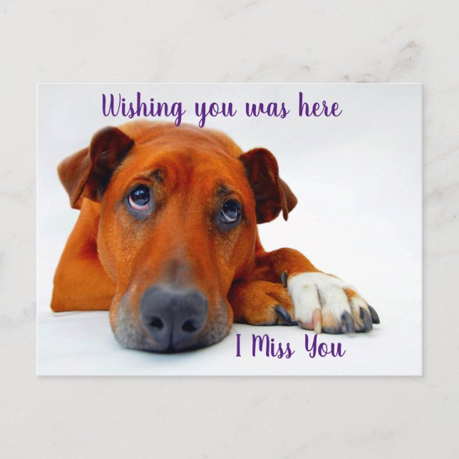 Saknar dig vykort (Framsida)